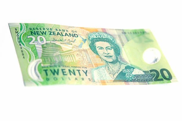 Prop Money New Zealand 20 Note